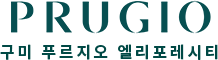 거의 푸르지오